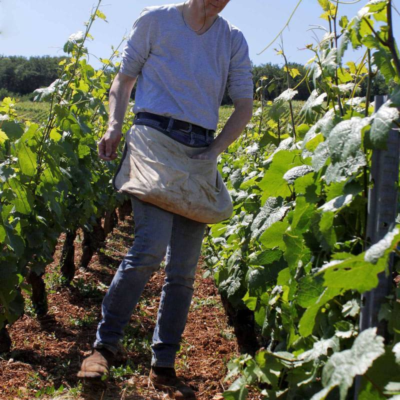 Domaine Henri Naudin-Ferrand Echezeaux Grand Cru