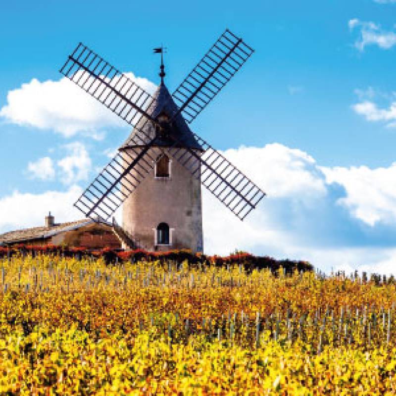 Domaine Jules Desjourneys Chenas les jugement Denier