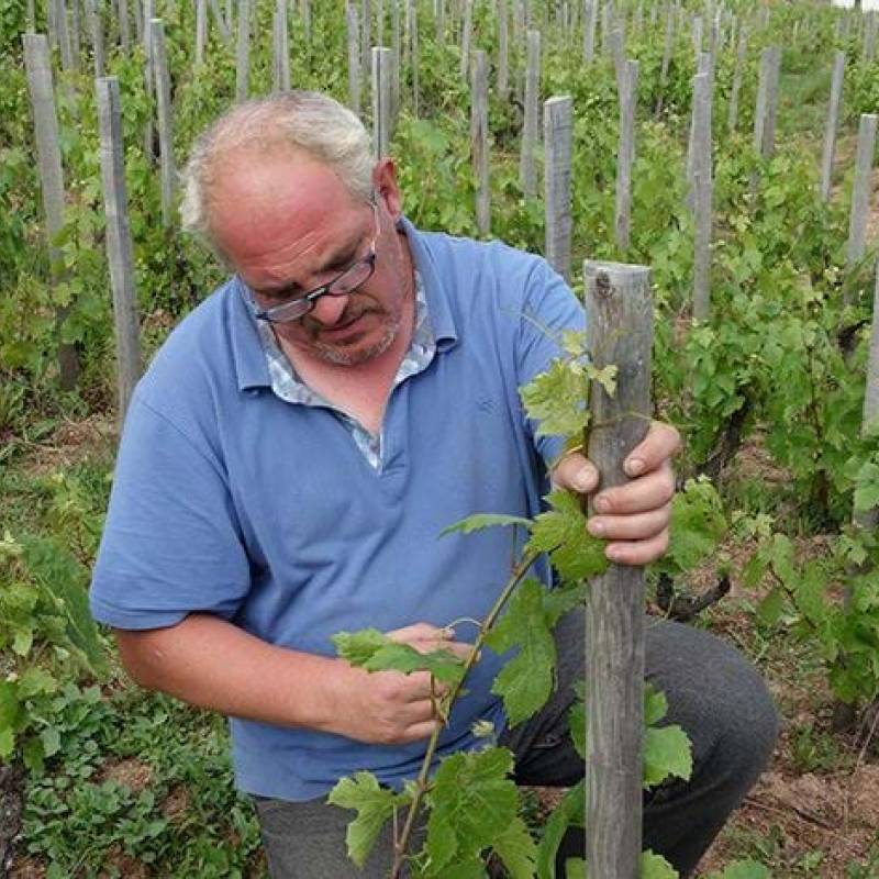 Domaine Jules Desjourneys Chenas les jugement Denier