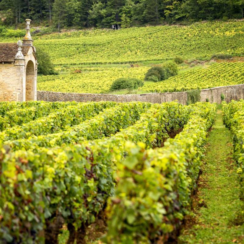 Domaine Robert Groffier Chambolle Musigny 1er Cru Les Hauts Doix 2021