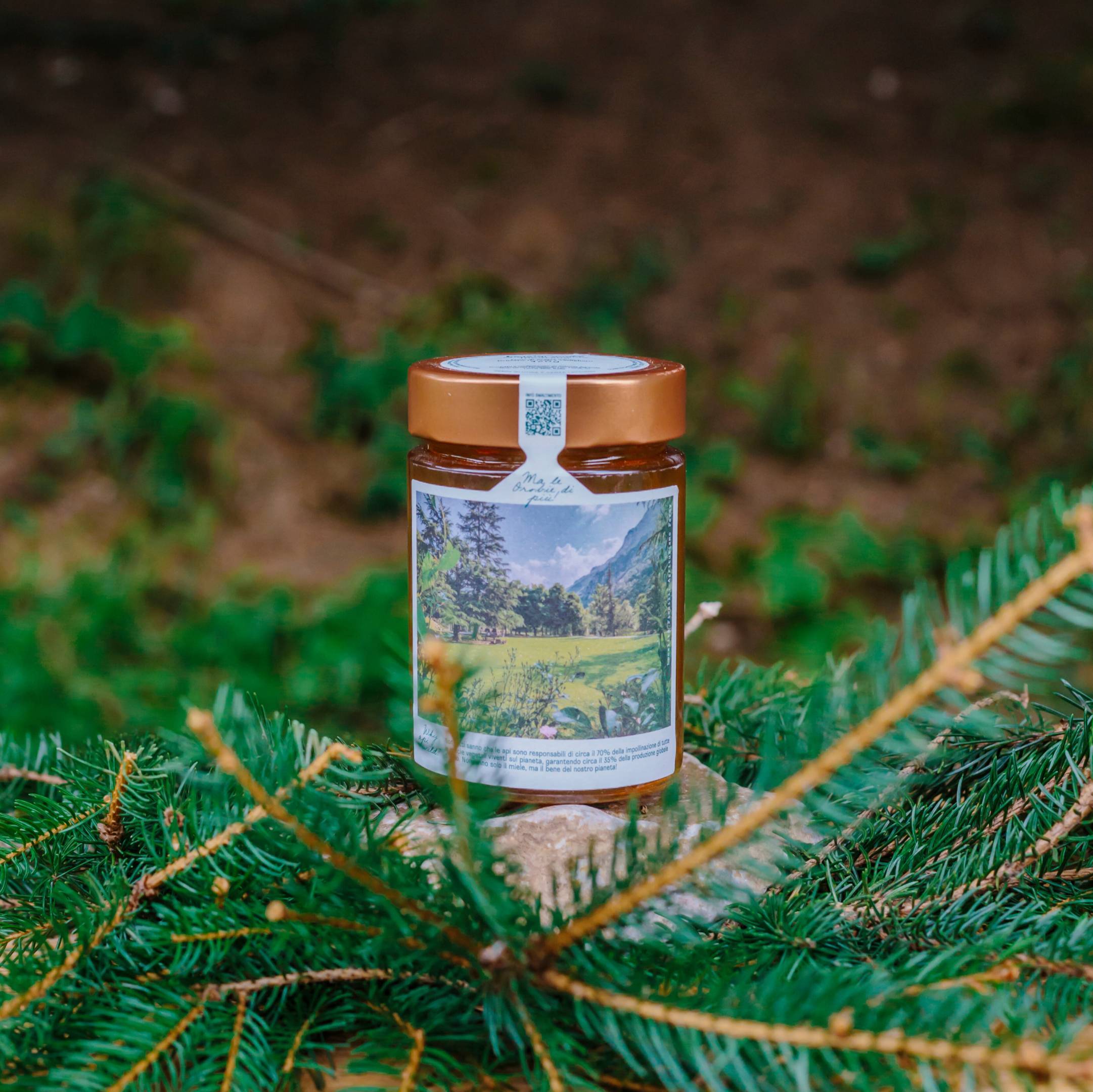 Mountain Acacia Honey