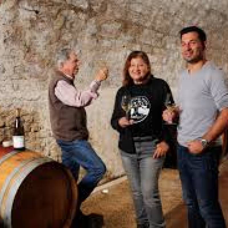 Domaine Laroque D'Antan Côtes Du Lot Nephele