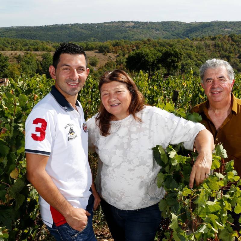 Domaine Laroque D'Antan Côtes Du Lot Nephele