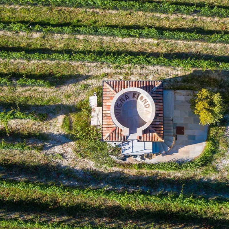 Massolino Barolo Vigna Rionda Riserva