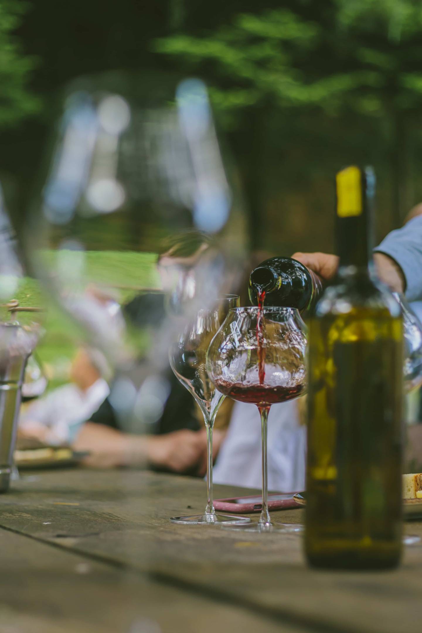 La rinascita della viticoltura nella Valcamonica: un viaggio attraverso terroir, passione e tradizione