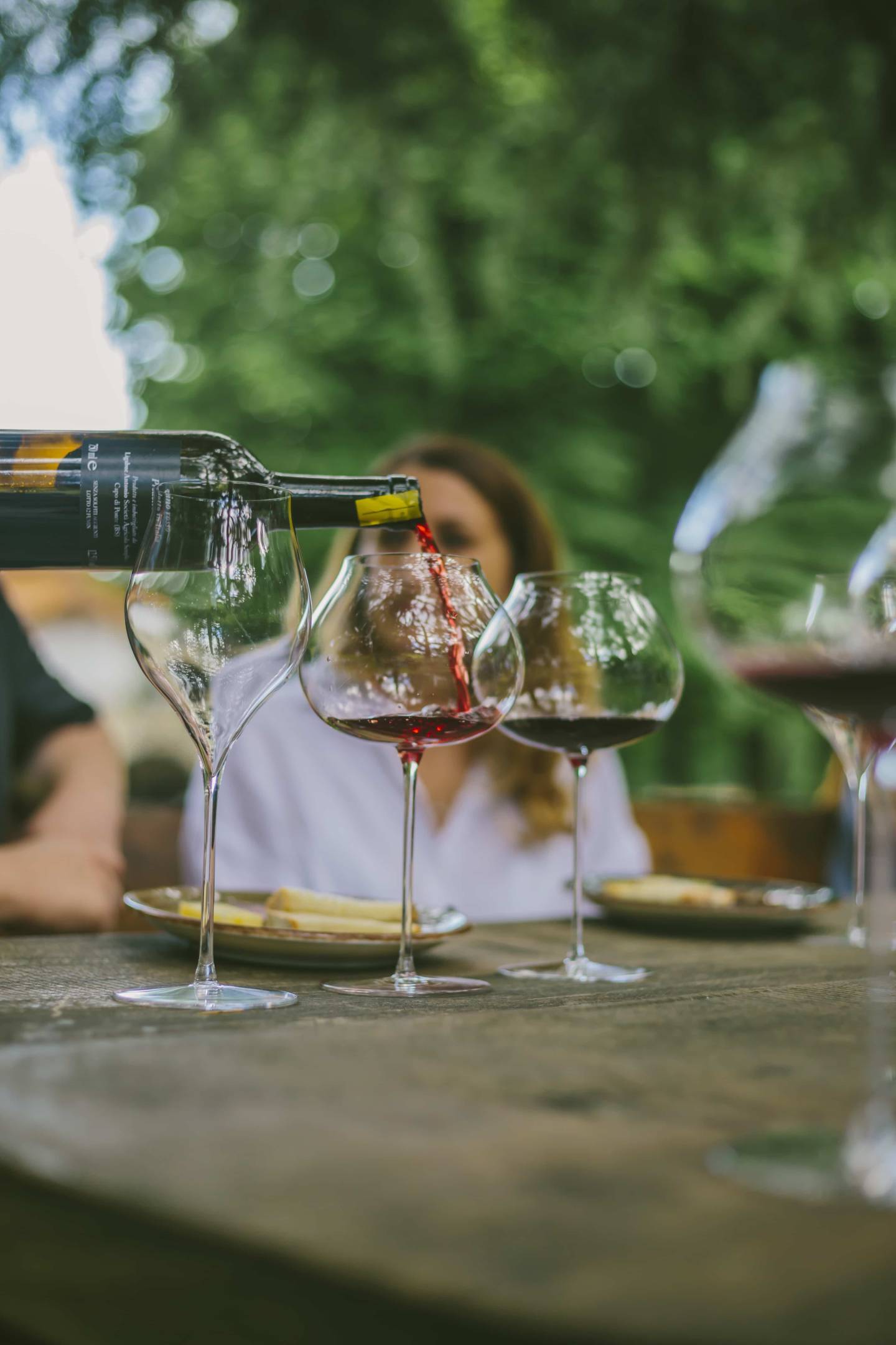 La rinascita della viticoltura nella Valcamonica: un viaggio attraverso terroir, passione e tradizione