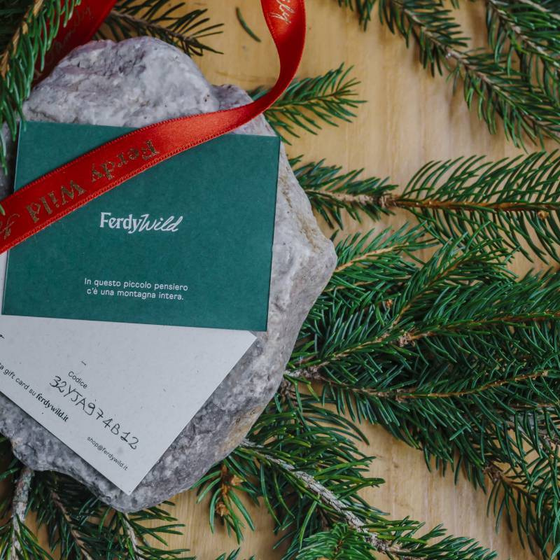  Gift Card - Shop Online