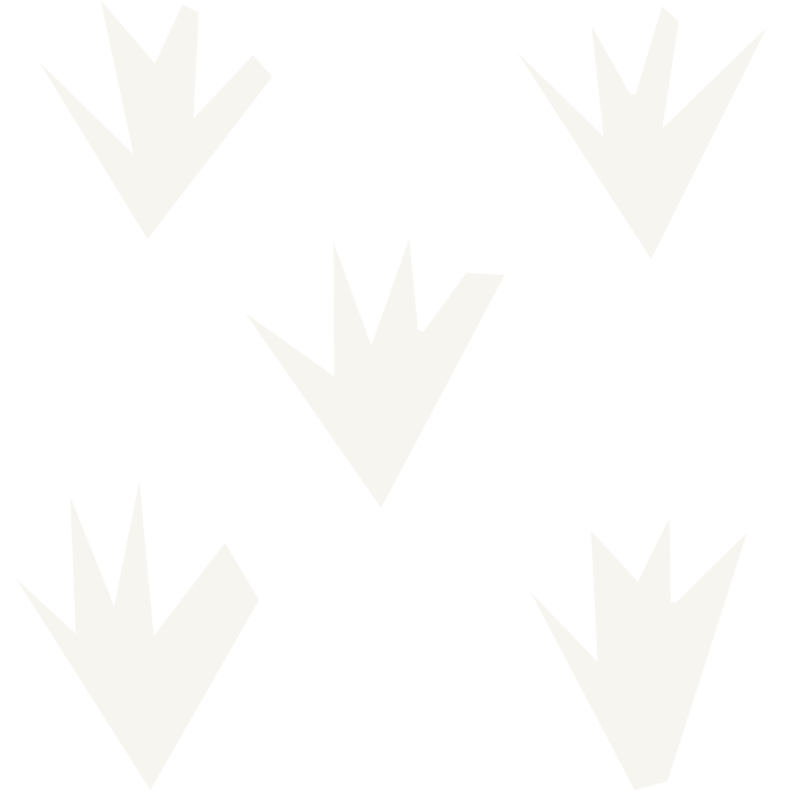 Da pascolo