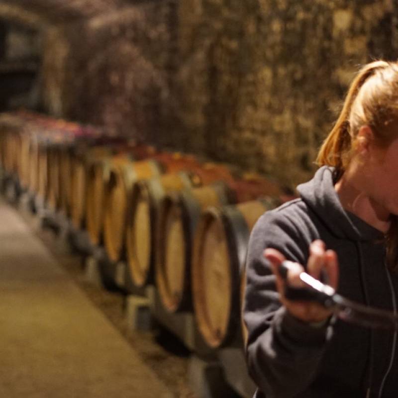 Domaine J.M. Millot Bourgogne Rouge 2021