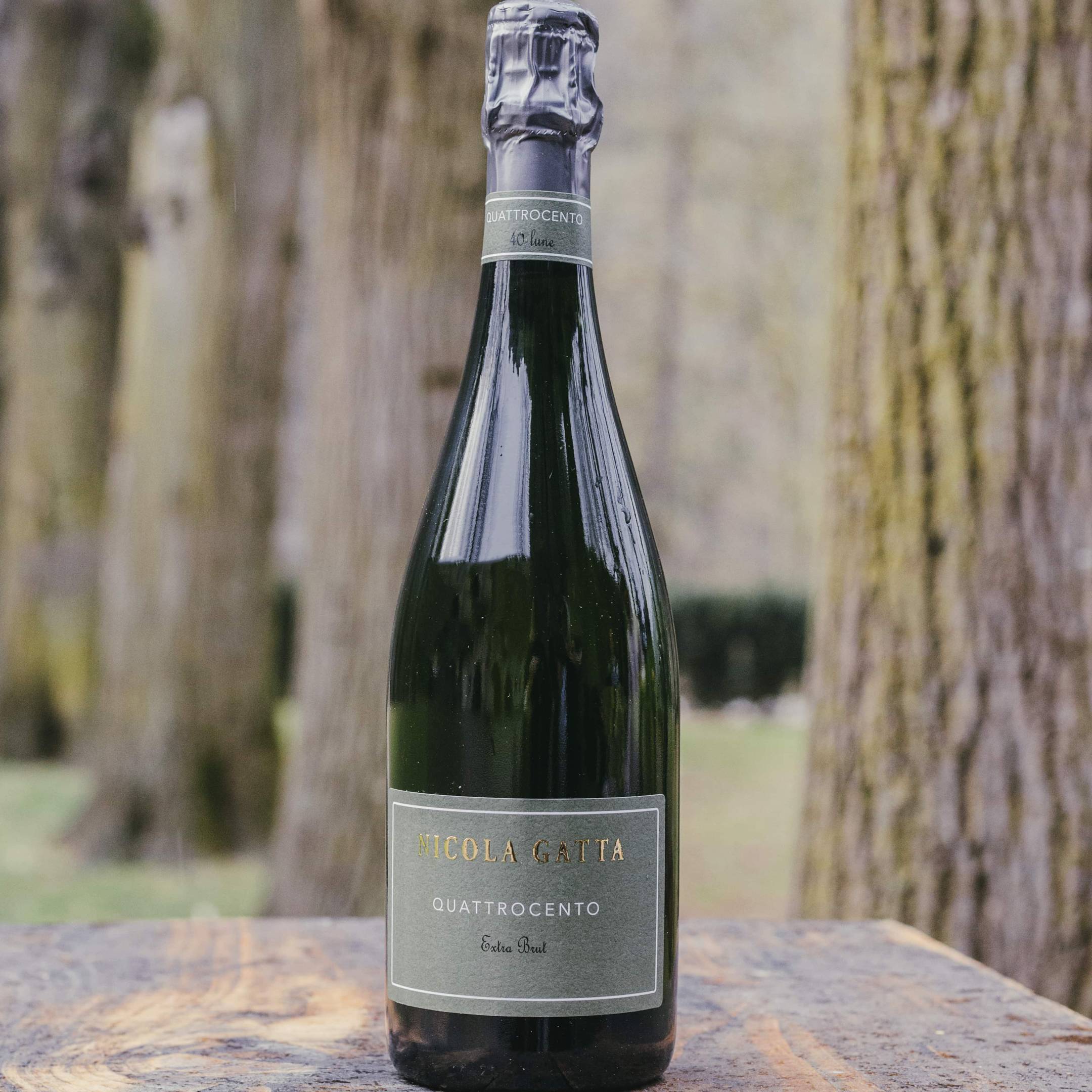 Nicola Gatta Quattrocento Magnum