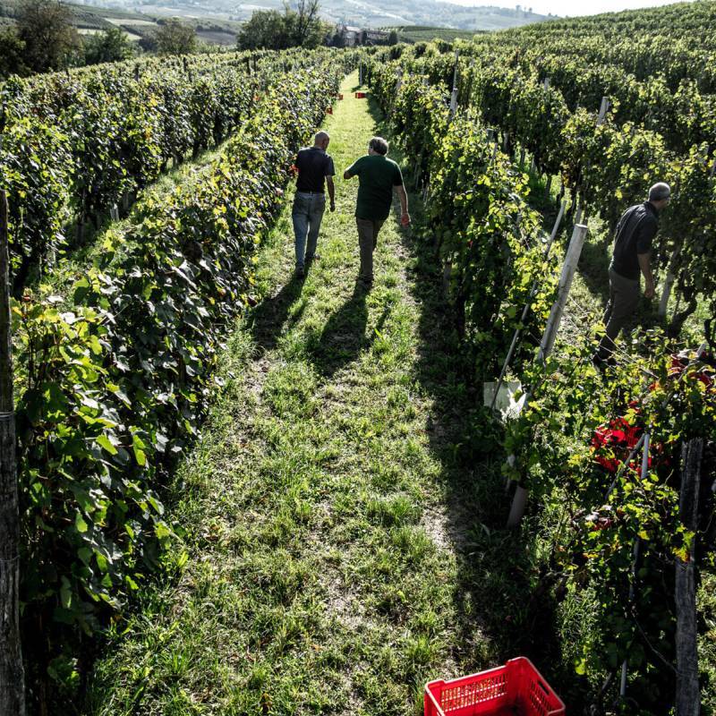 Gian Luca Colombo Langhe Pinot Nero Magnum