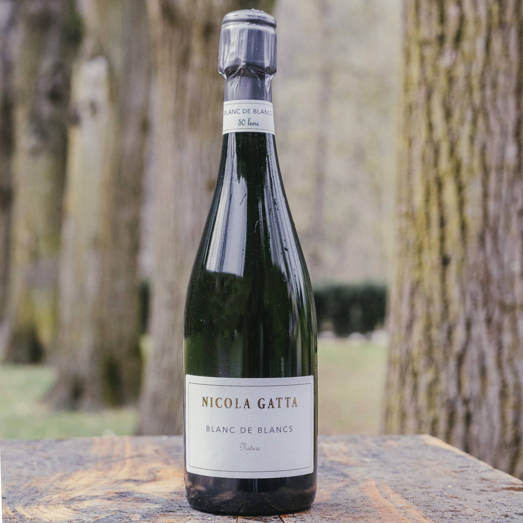 Nicola Gatta Blanc de Blancs Magnum