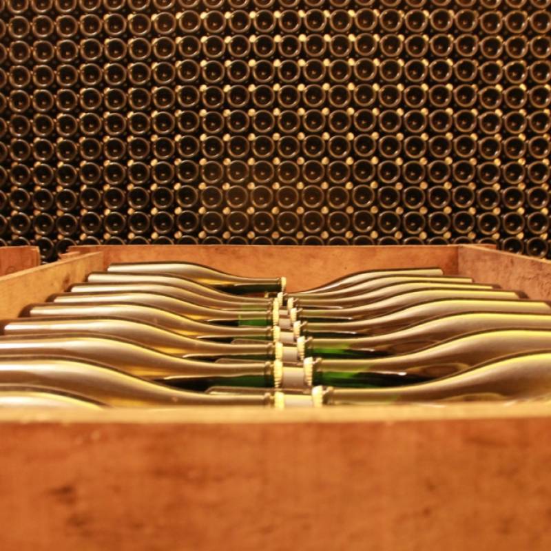 Maxime Ponson Champagne "Les Barbaries" Blanc de Blancs 2016