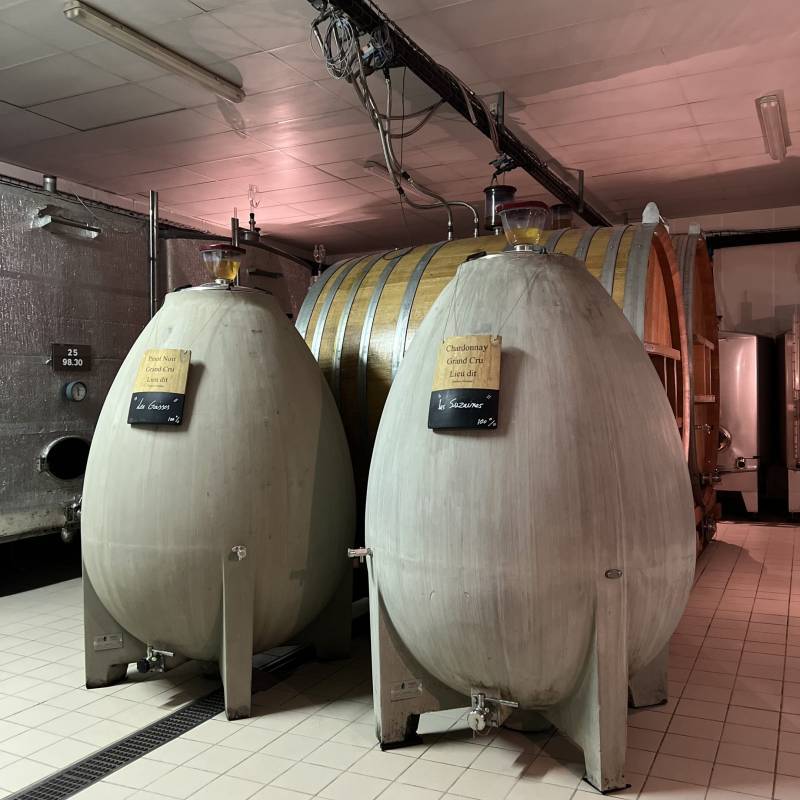 Sadi Malot Champagne Extra Brut Les Alouettes I er Cru
