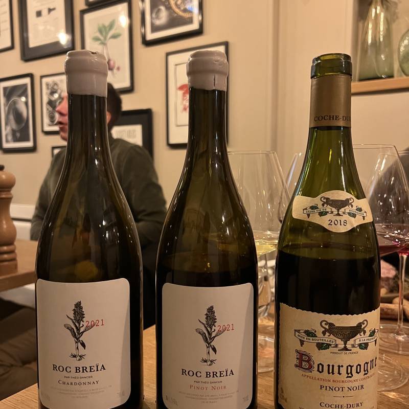 Roc Breia Theo Dancer Vin De France Rouge Pinot Noir