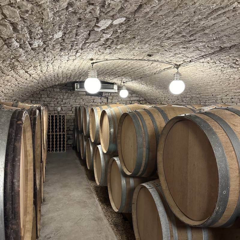 Roc Breia Theo Dancer Vin De France Rouge Pinot Noir