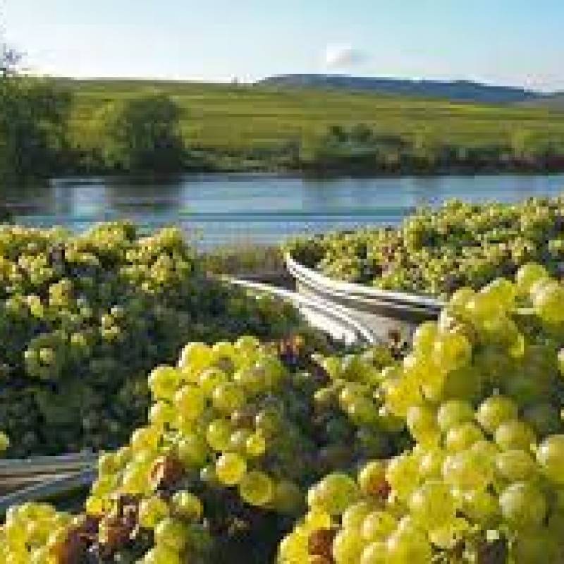 Dhondt Grellet Les Nogers Premier Cru Blanc de Blancs 2014