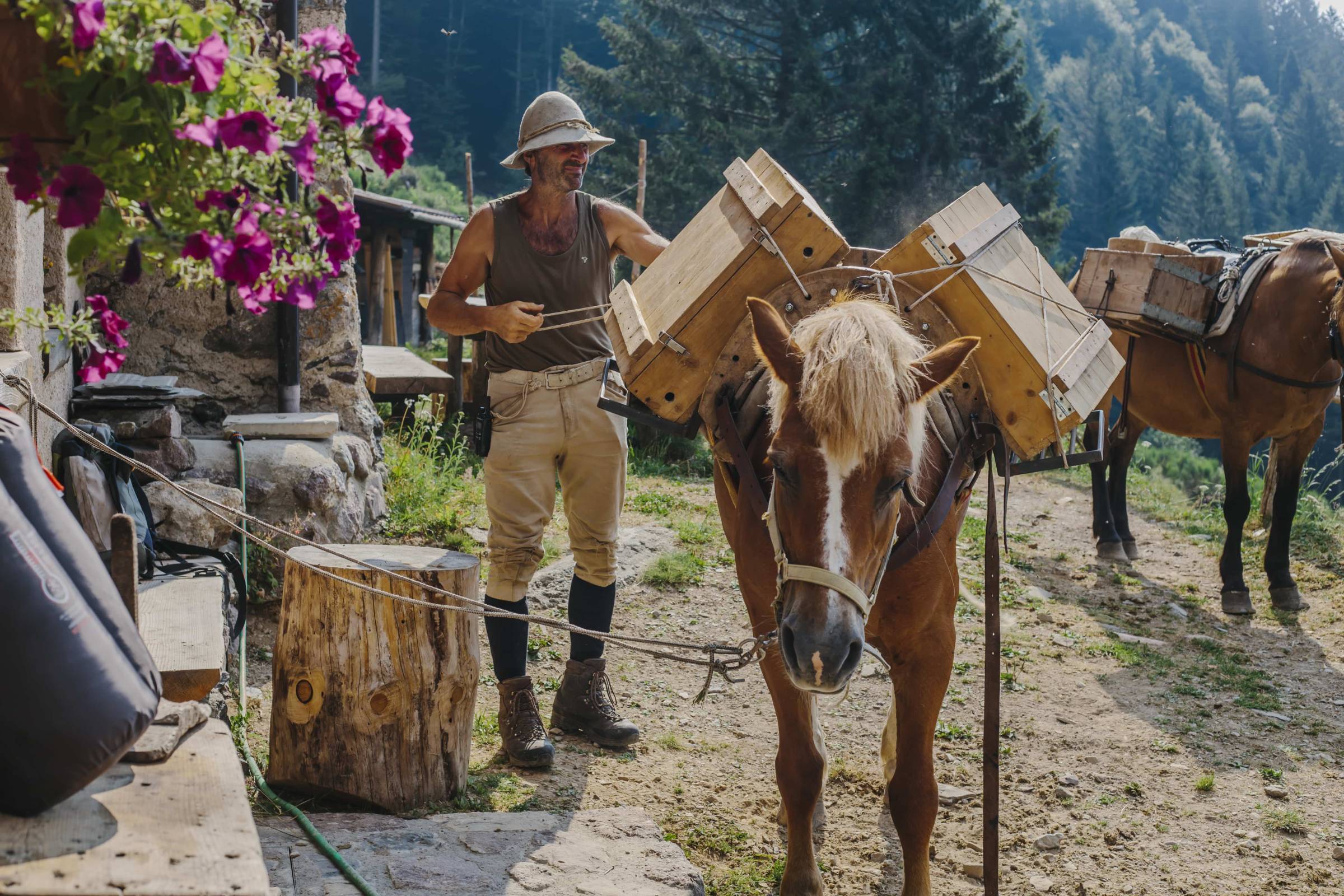 Stay Wild: L'Impegno di Ferdy Wild per un Futuro Sostenibile