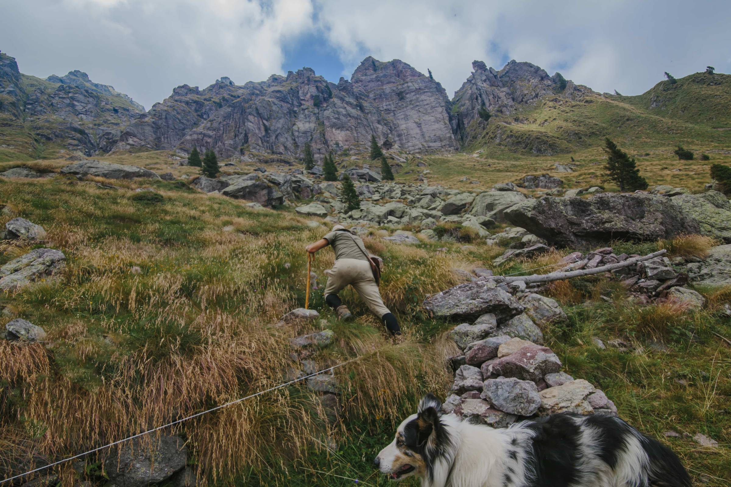 Stay Wild: L'Impegno di Ferdy Wild per un Futuro Sostenibile