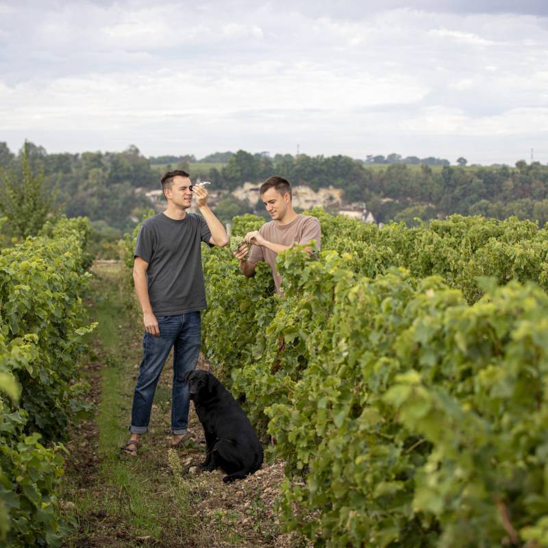 Clos Thierriere Sang de Roche