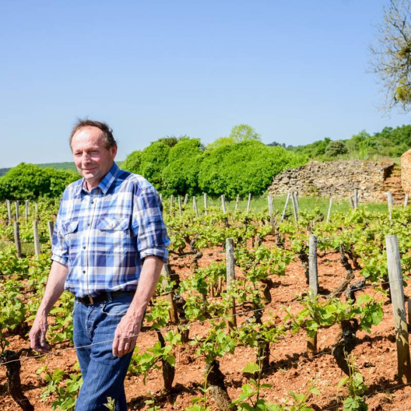 Bruno Clair Marsannay Les Longeroies