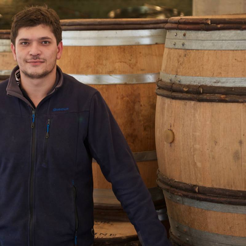 Cheurlin Maxime Bourgogne Hautes Cotes De Nuits