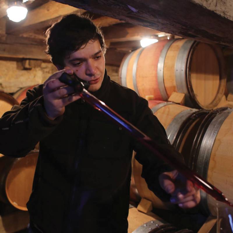 Cheurlin Maxime Bourgogne Hautes Cotes De Nuits