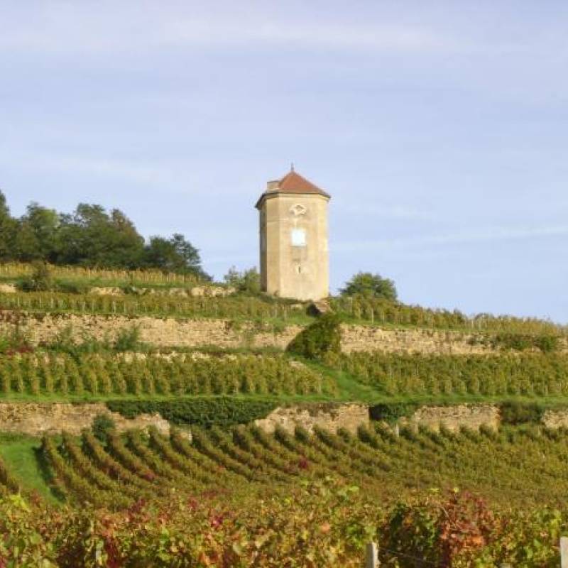 Stéphane Tissot Arbois Savagnin Ouille Traminer