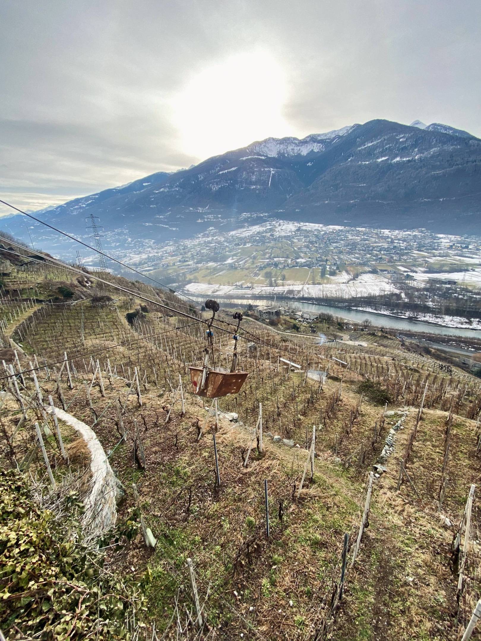 Scopri il servizio Horeca di Ferdy Wild: prodotti artigianali unici per il tuo locale