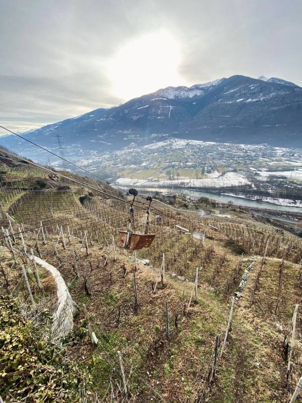 Scopri il servizio Horeca di Ferdy Wild: prodotti artigianali unici per il tuo locale