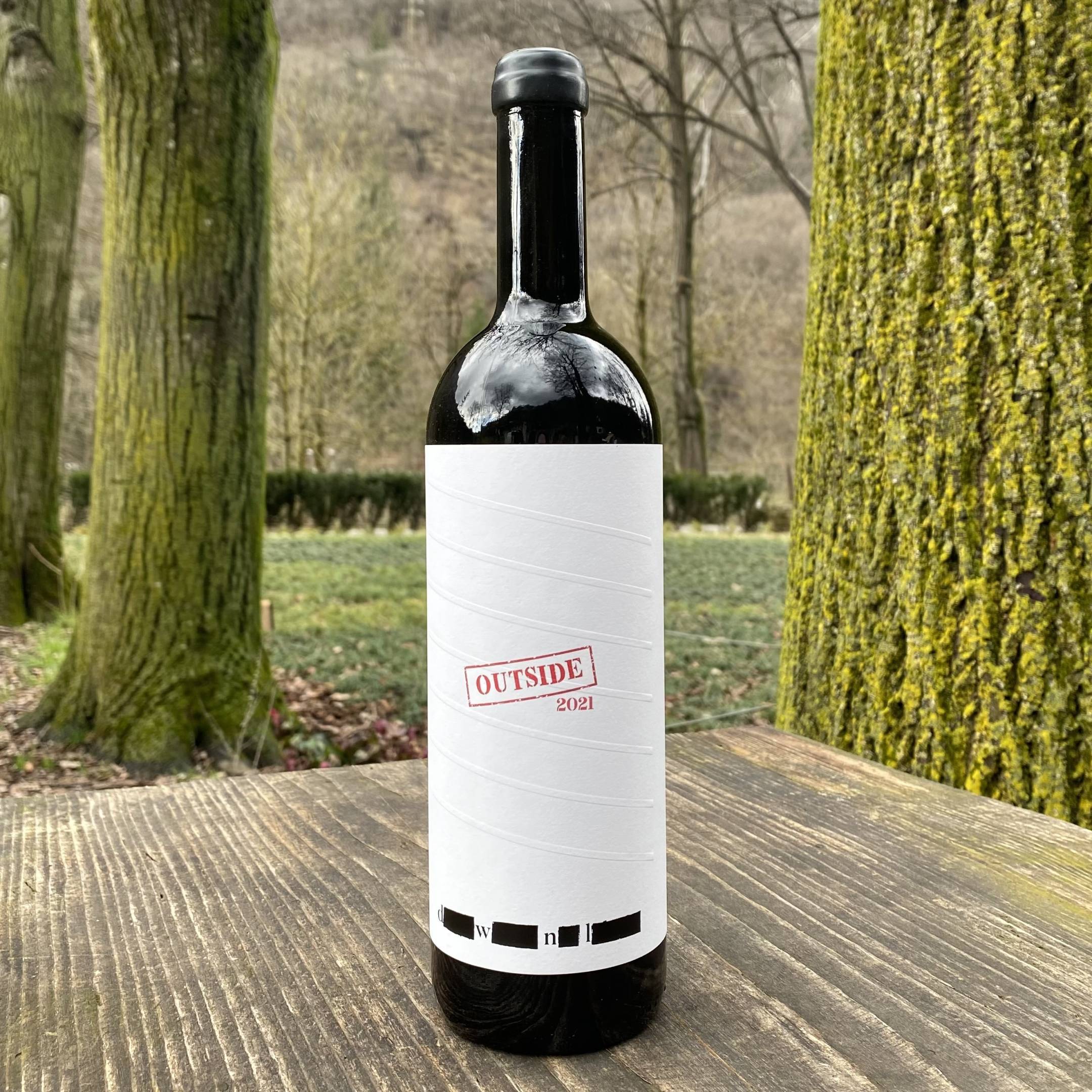 Dwnl Alessandro Salvano Langhe Nebbiolo OUTSIDE