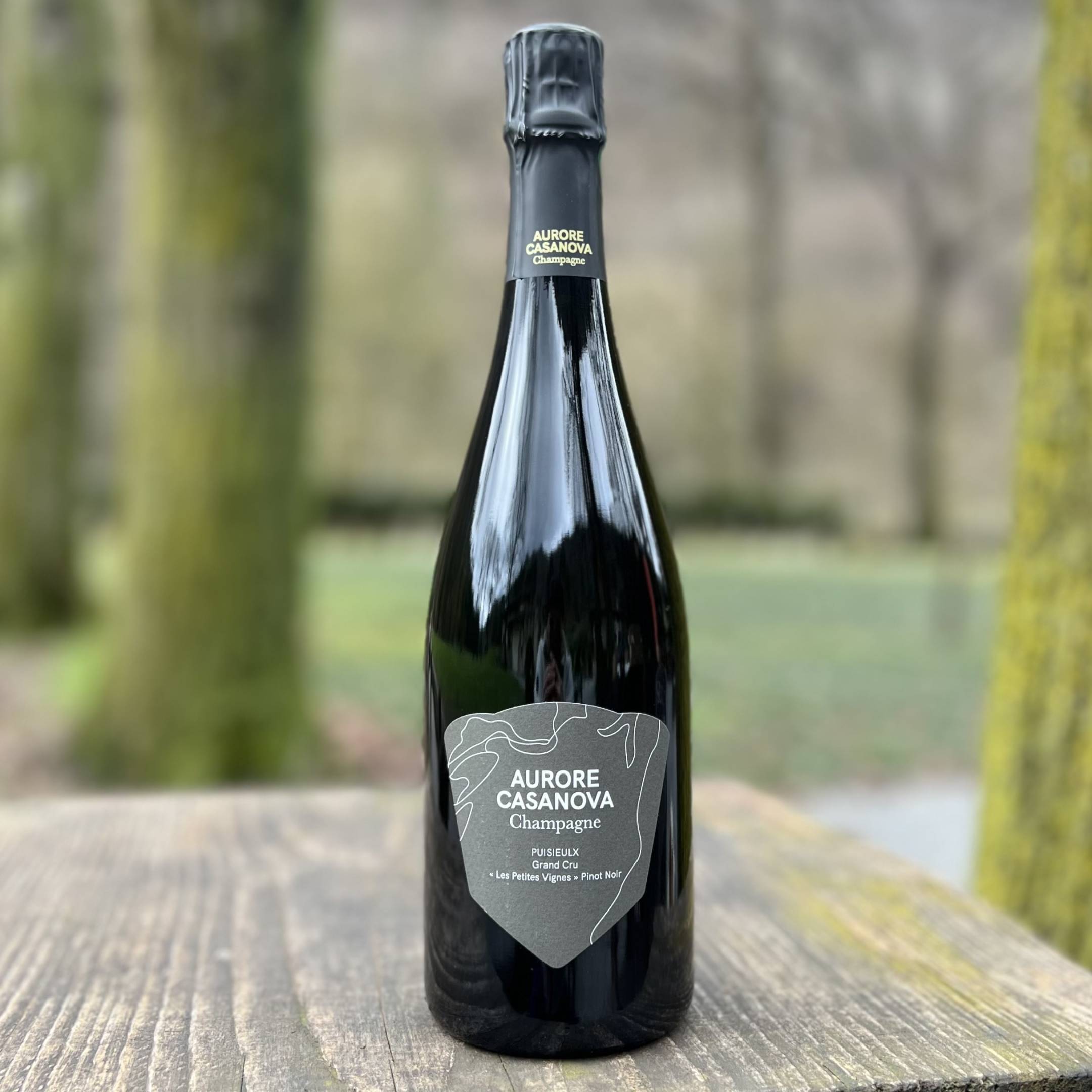 Aurore Casanova Puisieulx Pinot Noir