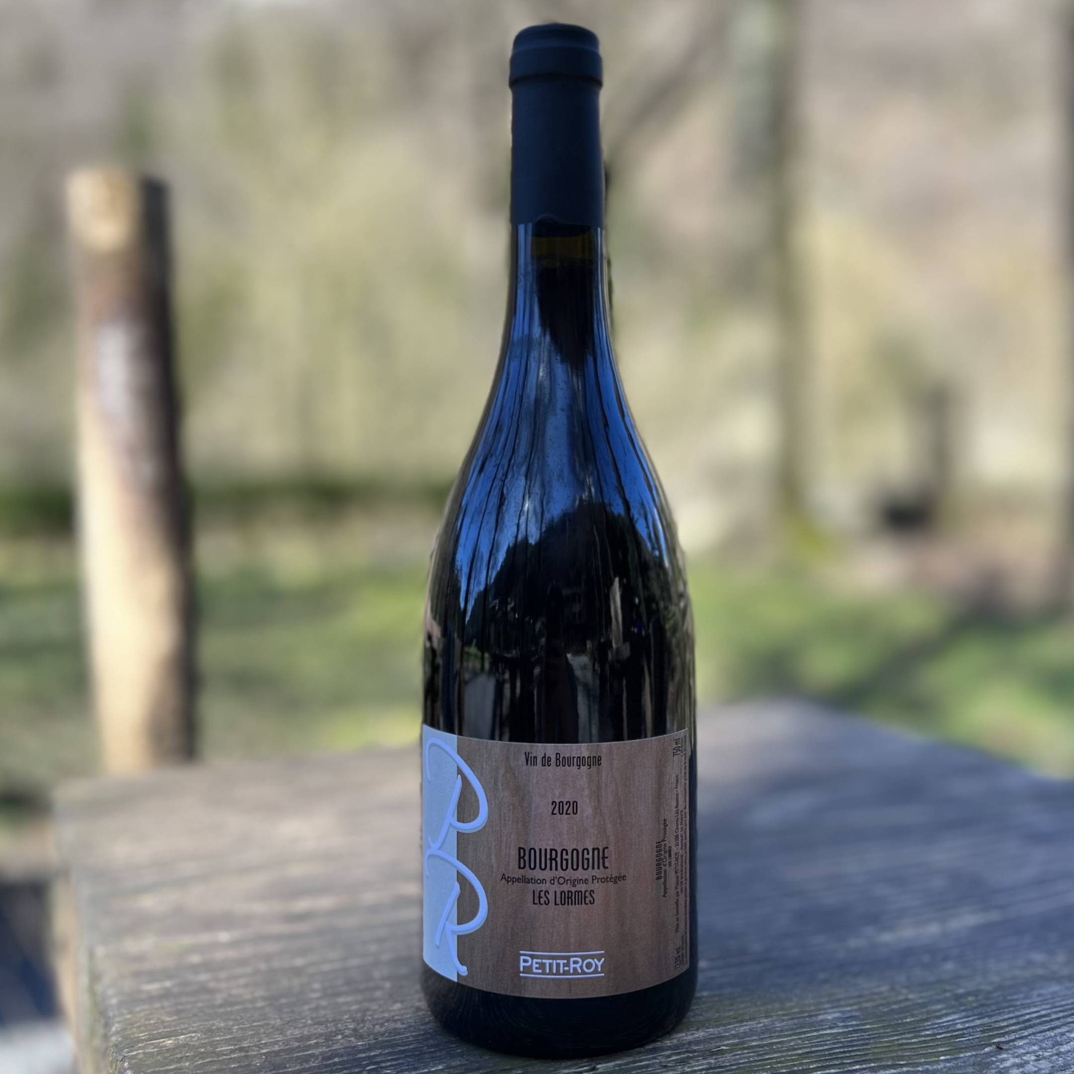Domaine Petit Roy Bourgogne Rouge Les Lormes