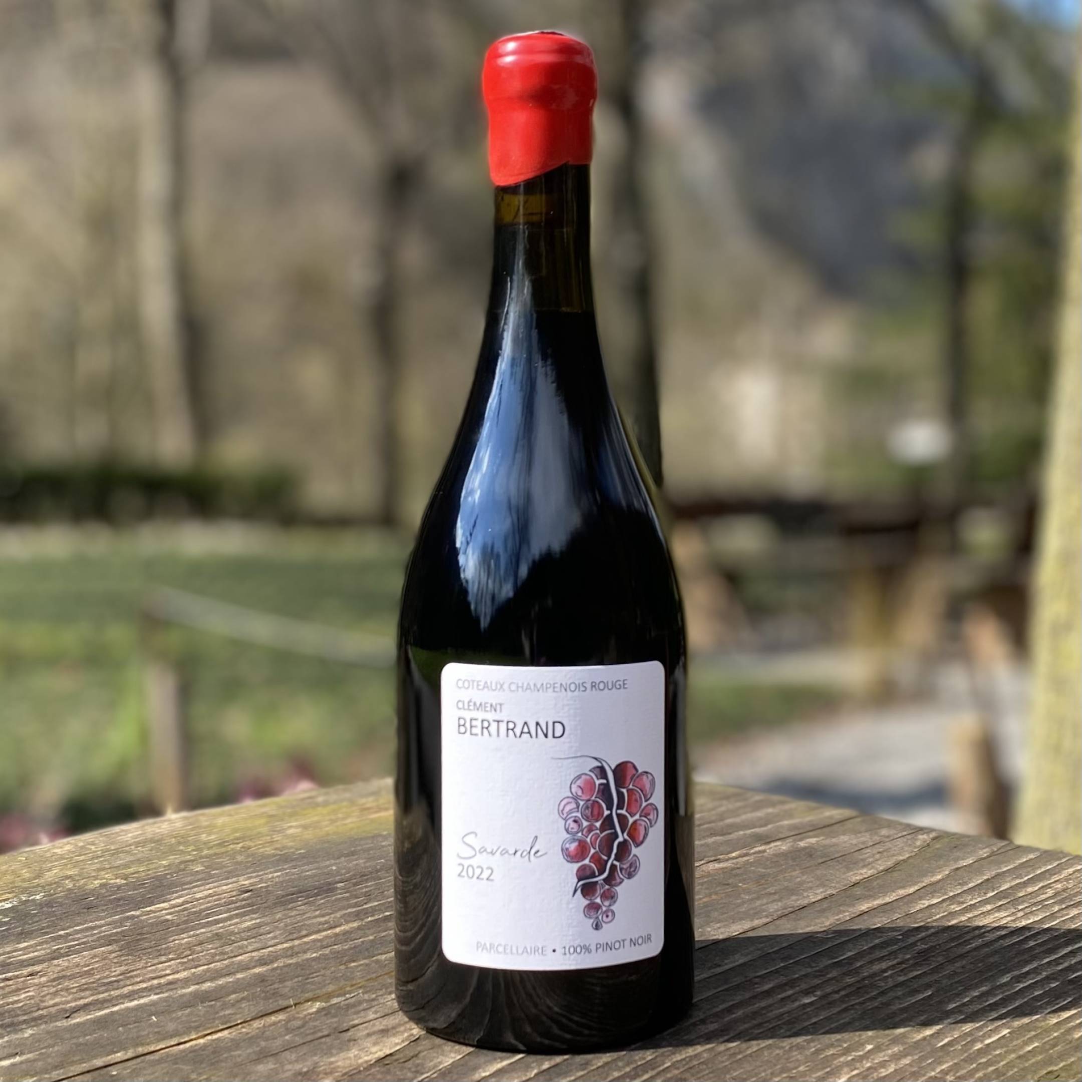 Clément Bertrand Coteaux Champenois Rouge "Savarde"