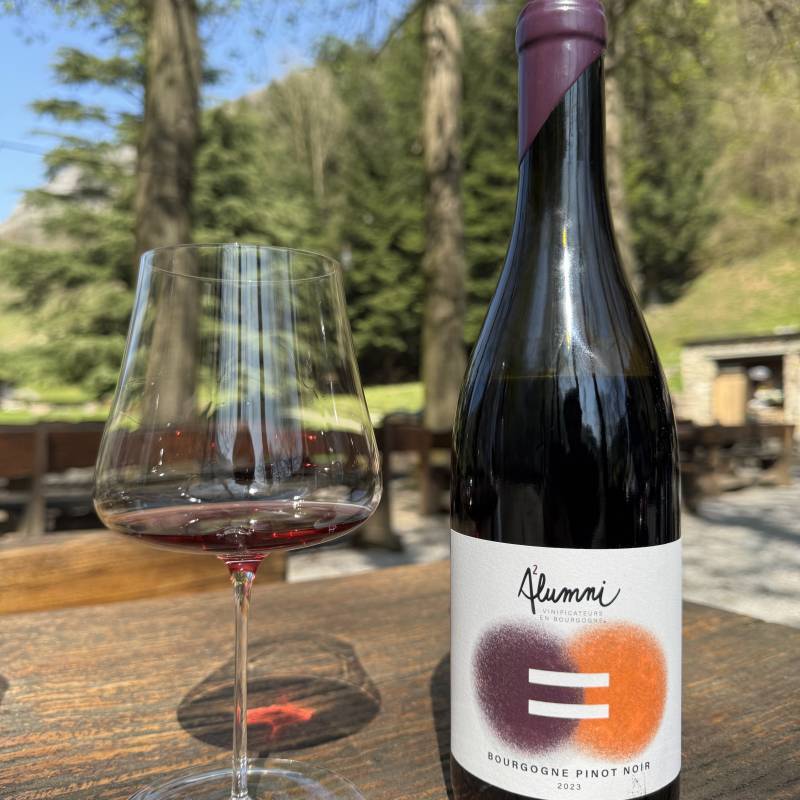 Alumni Bourgogne Pinot Noir