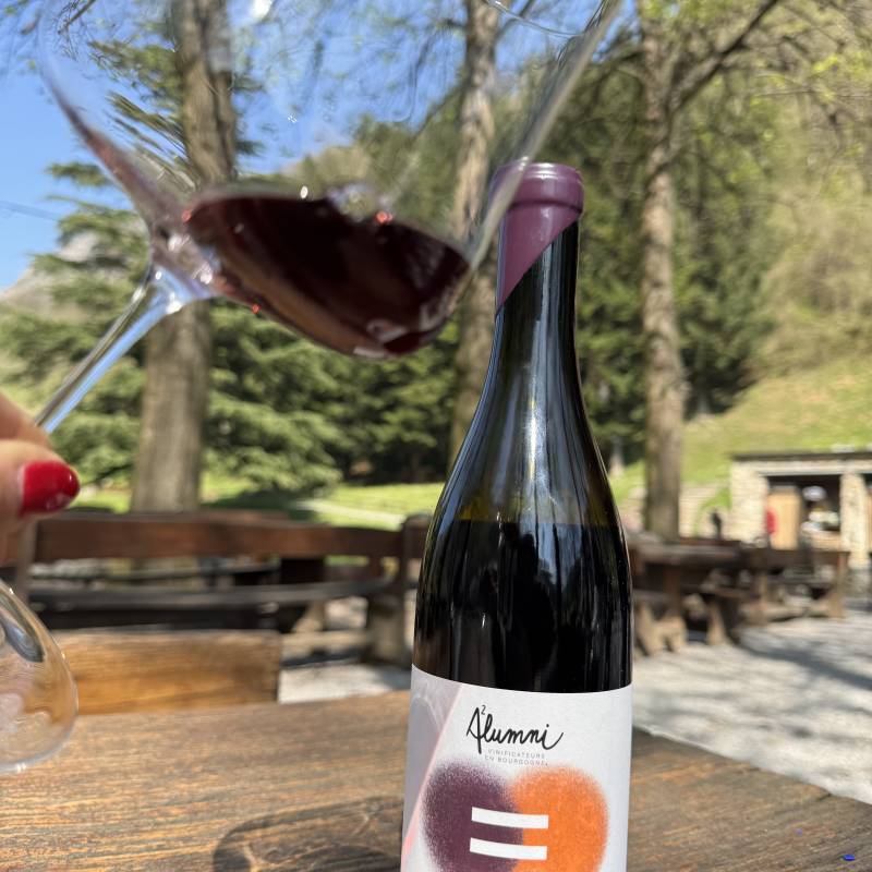 Alumni Bourgogne Pinot Noir