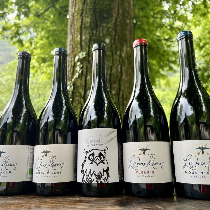 Les Deux Fleches Chenas Vieilles Vignes