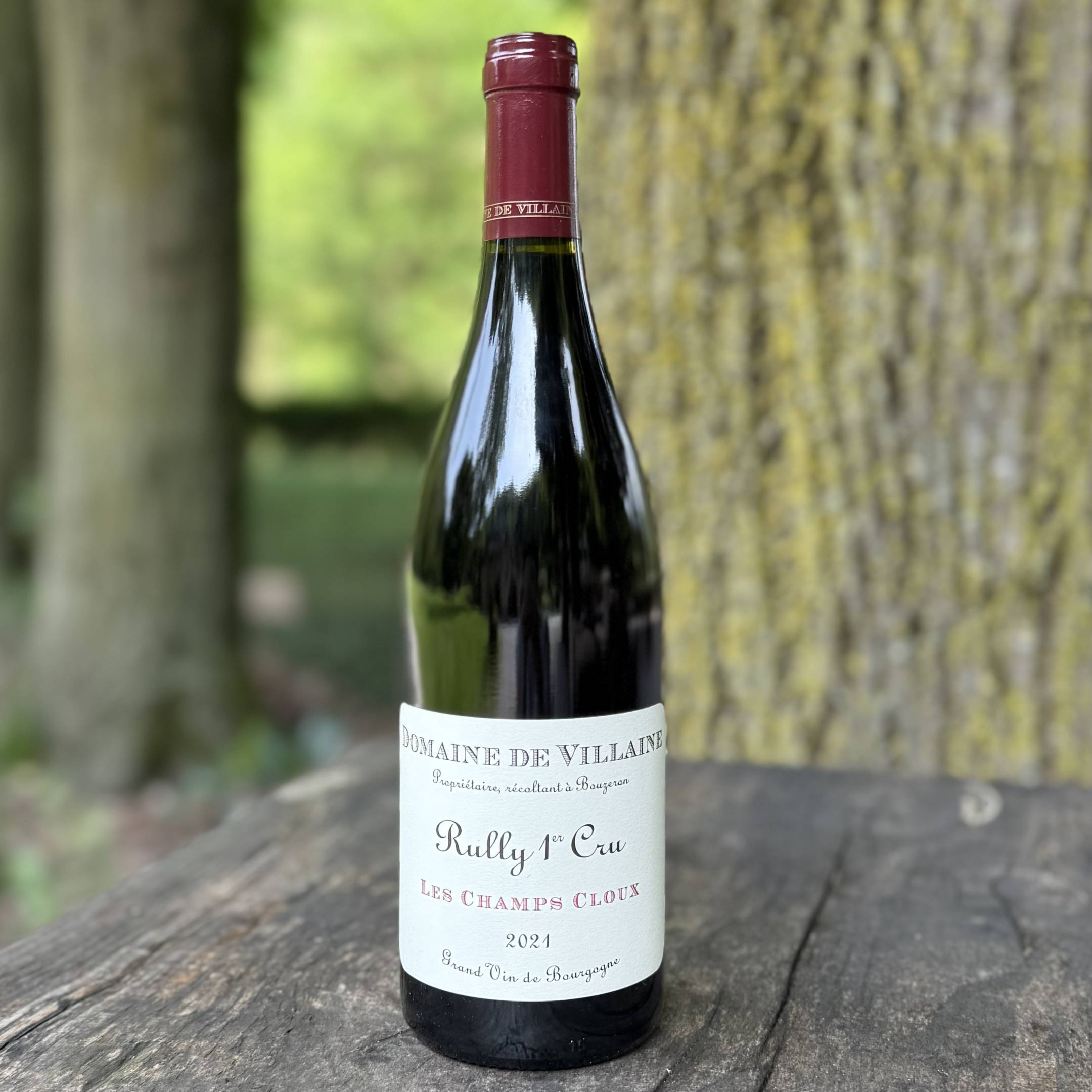 Domaine de Villaine Rully 1er Cru Les Champs Cloux