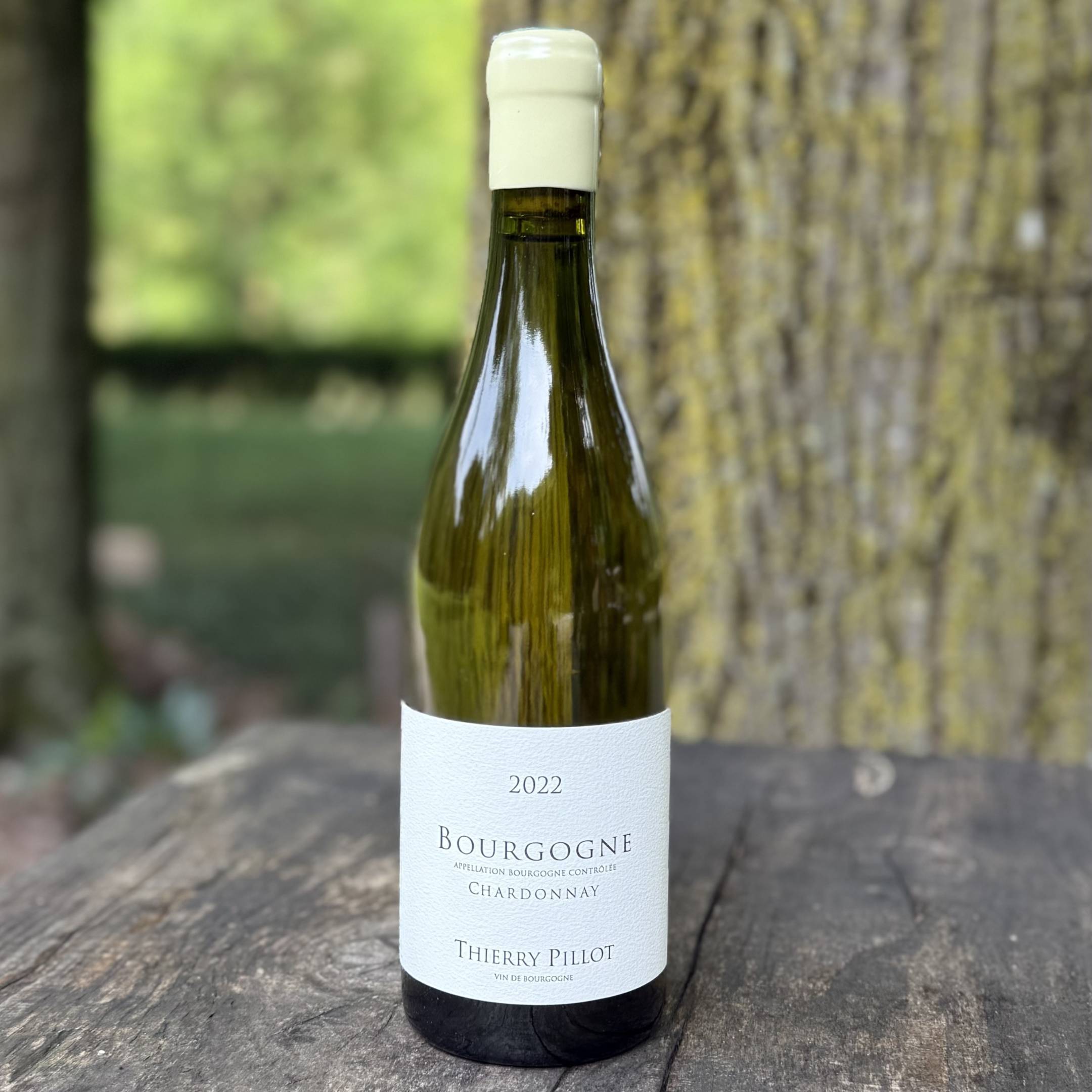 Thierry Pillot Bourgogne Chardonnay