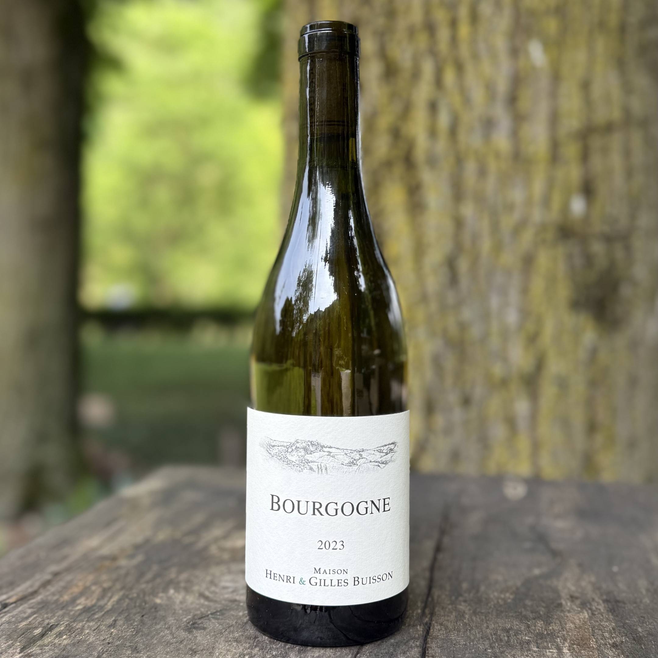 Henri & Gilles Buisson Bourgogne Blanc 2023