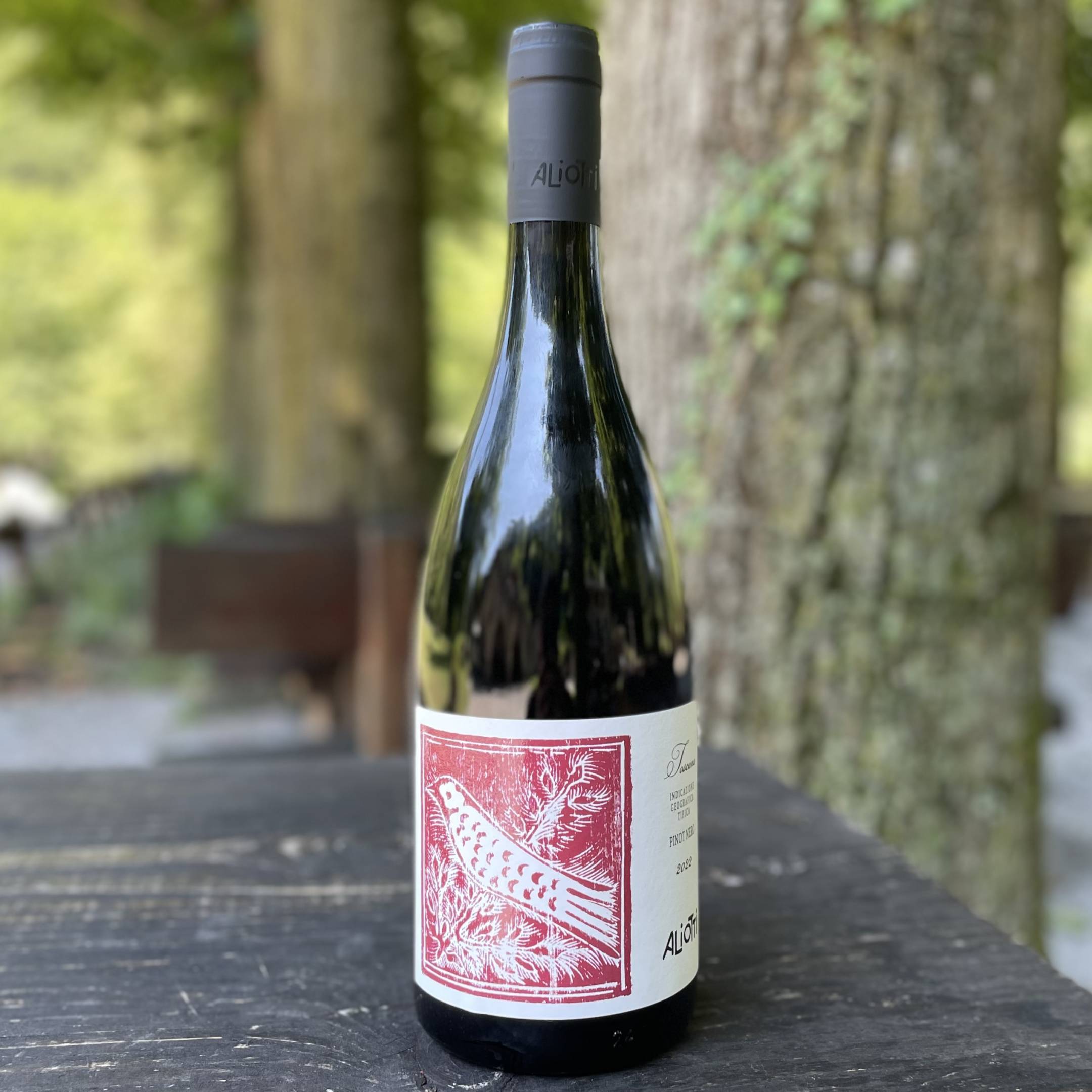 Aliotti Pinot Nero