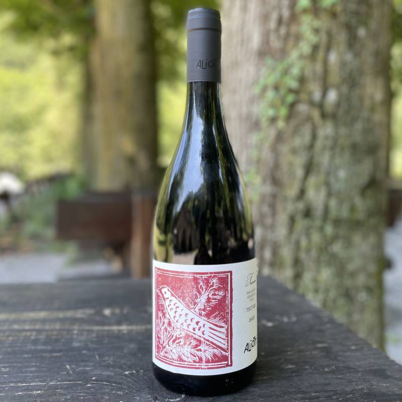 Pinot Nero