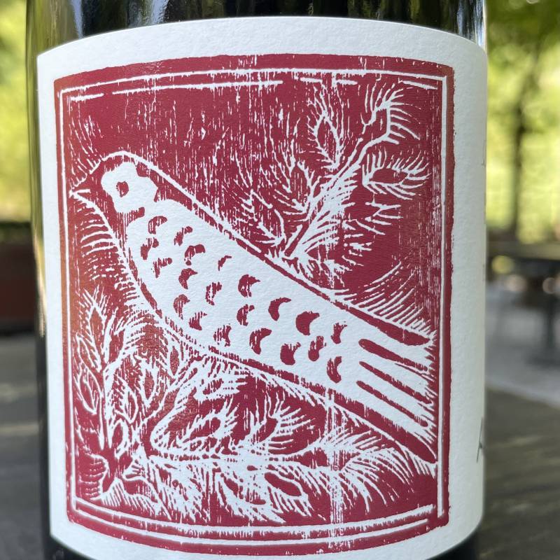 Aliotti Pinot Nero