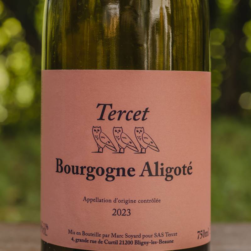 Marc Soyard Aligote Tercet