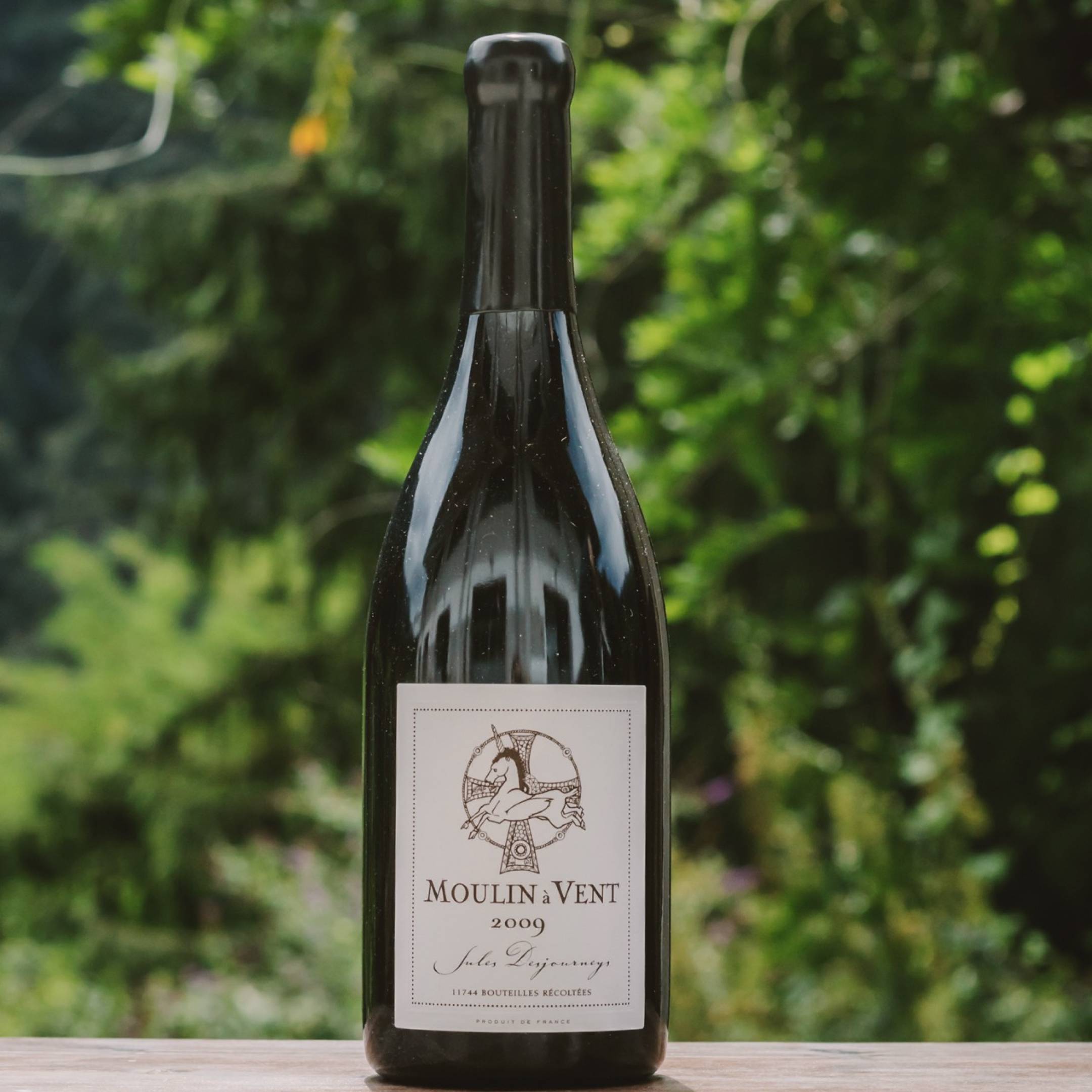 Domaine Jules Desjourneys Moulin A Vent