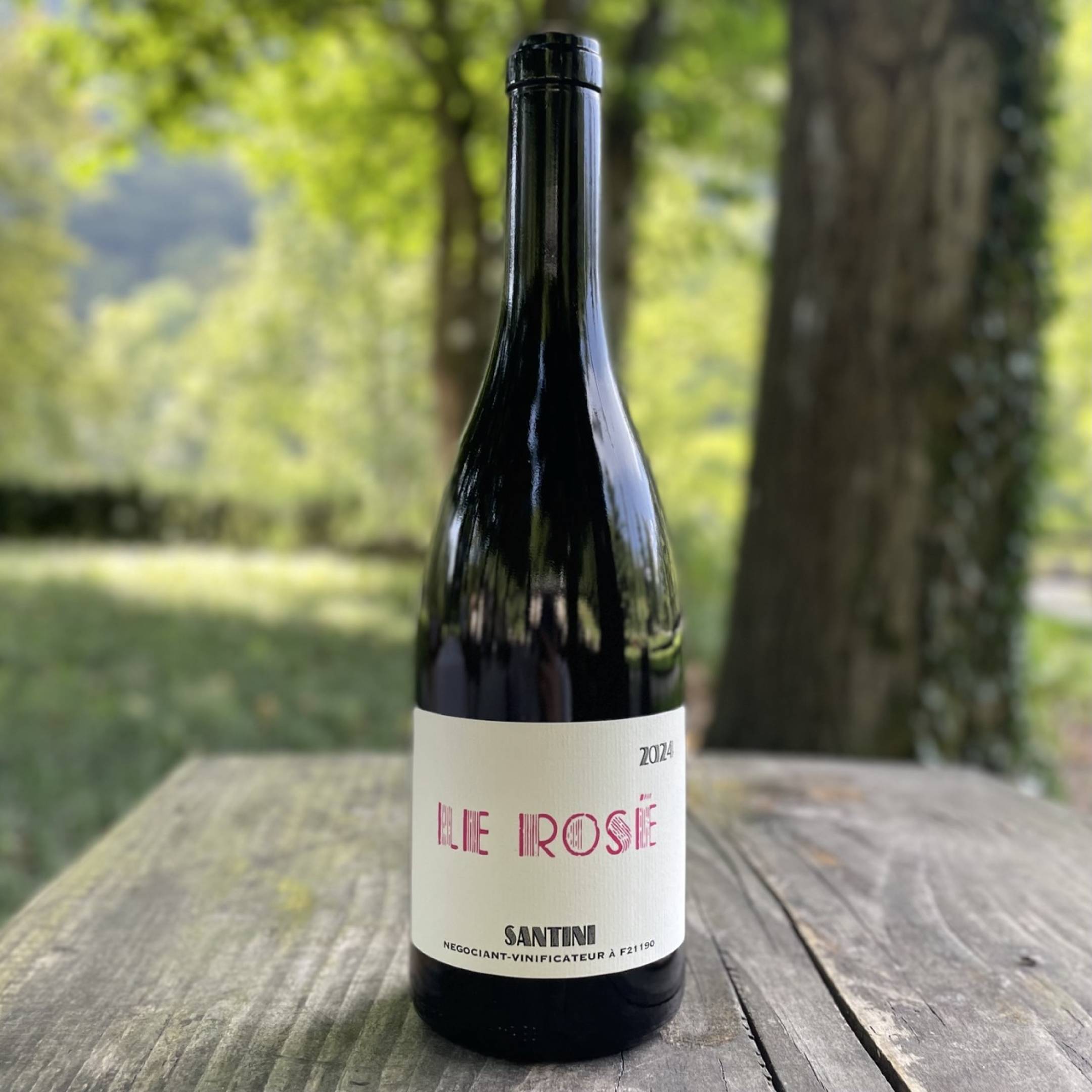 Christopher Santini Le Rosé