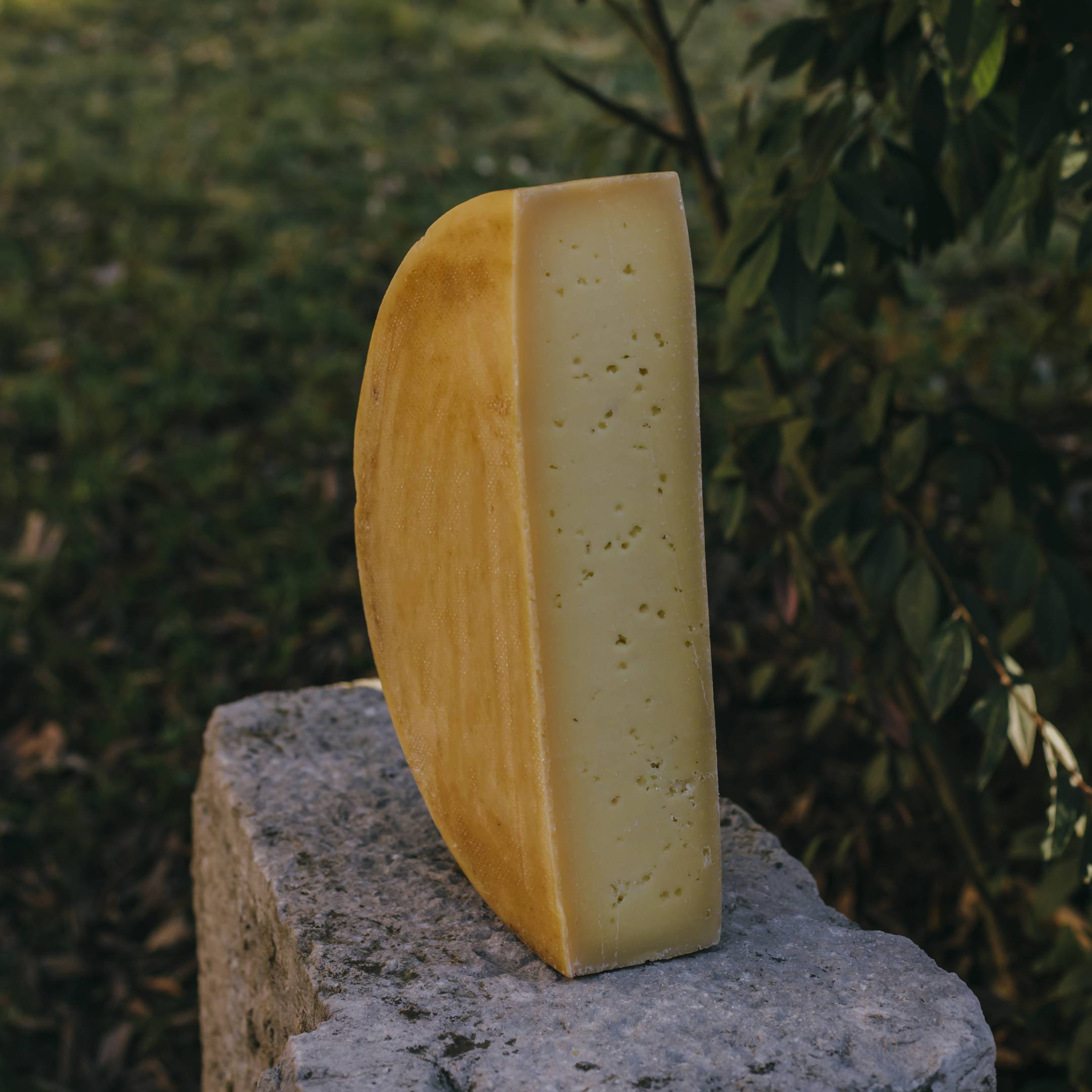 Alfio Sassella Alpe Cavizzola 2025