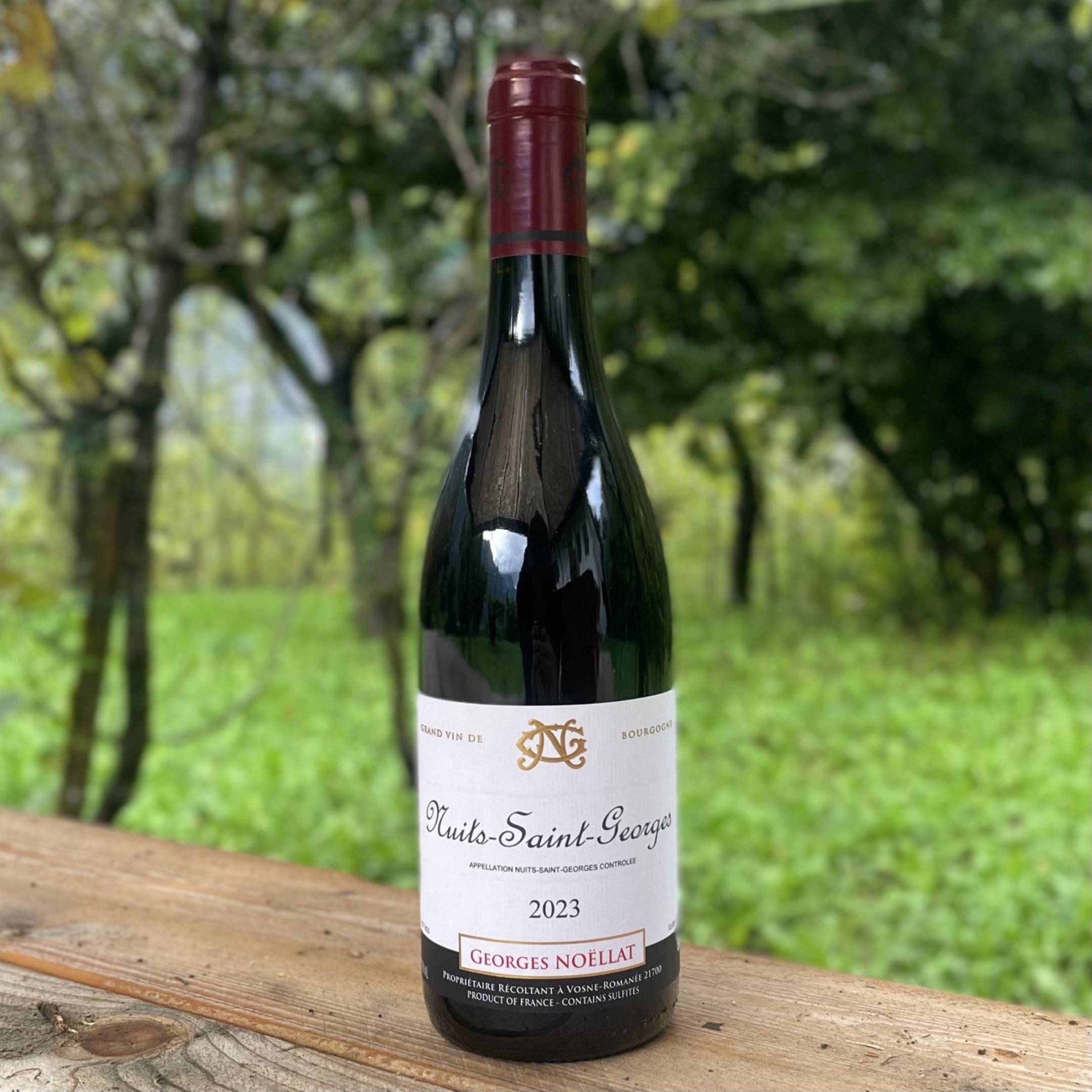 Georges Noellat Nuits Saint Georges 2023