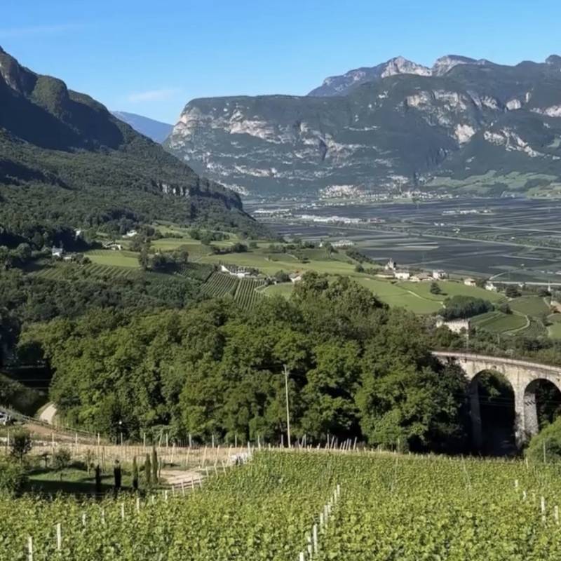 Fenja Hinz Pinot Nero Riserva 2022
