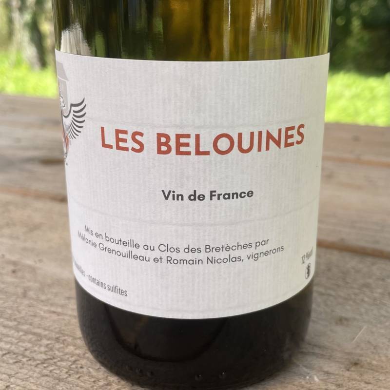 Clos des Breteches Clos des Breteches Les Belouines